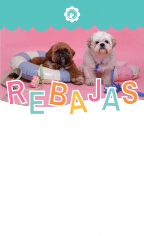 hellomoondog giphyupload GIF