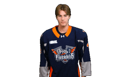 Hockey Nhl Sticker by Flint Firebirds