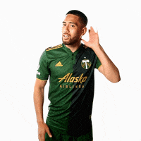 Portland Timbers Sport GIF by Timbers