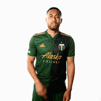 Portland Timbers Sport GIF by Timbers