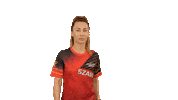 Tv2 Allstar Sticker by Acun Medya