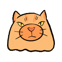 Excuse Me What Sticker