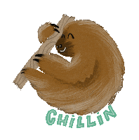 Sloth Chilling Sticker by Gulf Breeze Zoo