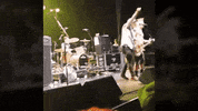GIF by Giffffr