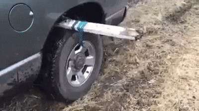 xcbcvccxscxcv giphyupload GIF