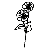 Morning Glory Flower Sticker