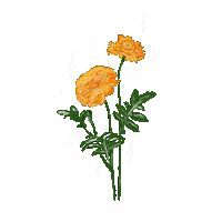Orange Flower Flowers Sticker