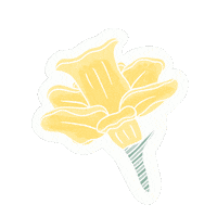 March Daffodil Sticker