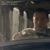 allcreaturestv smile animals laugh driving GIF