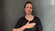 Stop No GIF