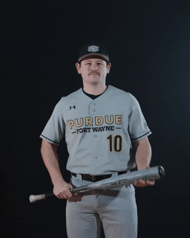 Baseball Slap GIF by Purdue Fort Wayne Athletics