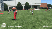 Ohio State Sport GIF by Ohio State Athletics