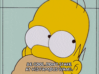 homer simpson GIF