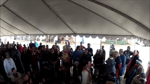 rogeremigh giphygifmaker GIF