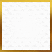 Webcaregifs GIF by Staatsloterij