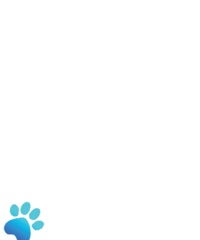 Paws Paw Prints Sticker by Nevada Humane Society