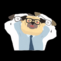 allisonchan2 dog crazy help pug GIF