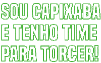 futebolcapixabaoficial futebol capixaba fes futebolcapixaba Sticker