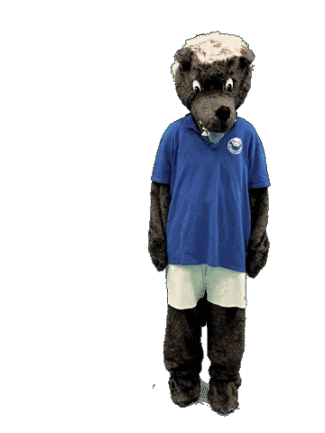 Sport Mascot Sticker by SuS Stadtlohn 19/20