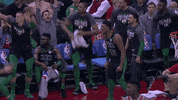 excited boston celtics GIF by NBA