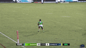 Try Nrl GIF by Canberra Raiders