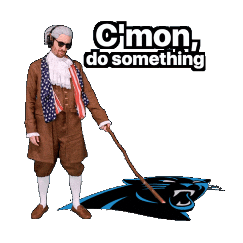 Carolina Panthers Sticker