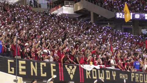 celebrate mercedes-benz GIF by Atlanta United