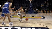 College Sports Sport GIF by Chattanooga Mocs