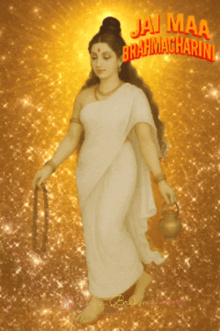 Navratri Day 2 GIF