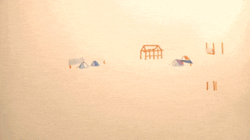 animation jungle GIF by LoupBlaster