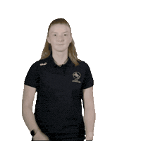 Dragons Superleague Sticker by walesnetball