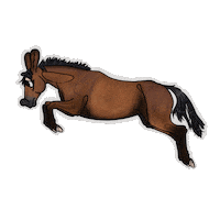 Horse Sticker