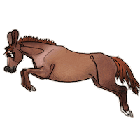 Horse Sticker