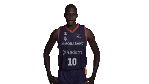 Liga Endesa Basketball Sticker by ACB