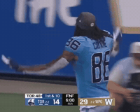 Toronto Crowd GIF