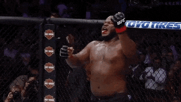 ufc 229 sport GIF by UFC