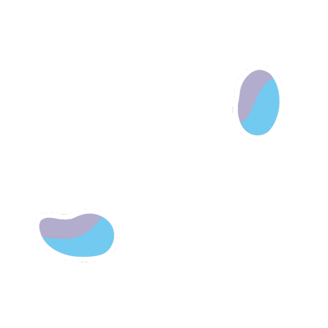 Pkc Nastejnevlne Sticker