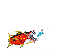 Contact Us Myrtle Beach Sticker by North Myrtle Beach Fishing Charters