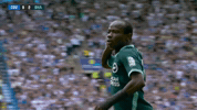 Premier League Football GIF