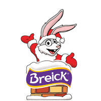 Bolivia Sticker by Chocolates Breick