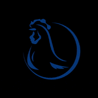 AviculturaBlog blog paixao avicultura GIF
