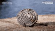 History Channel River Hunters GIF by Sky HISTORY UK