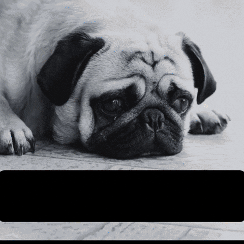 Chien triste