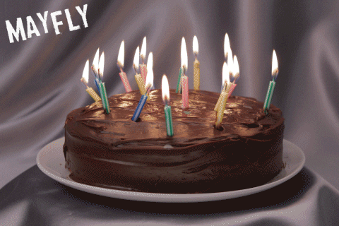 happy birthday Blow out candles GIF by Mayfly