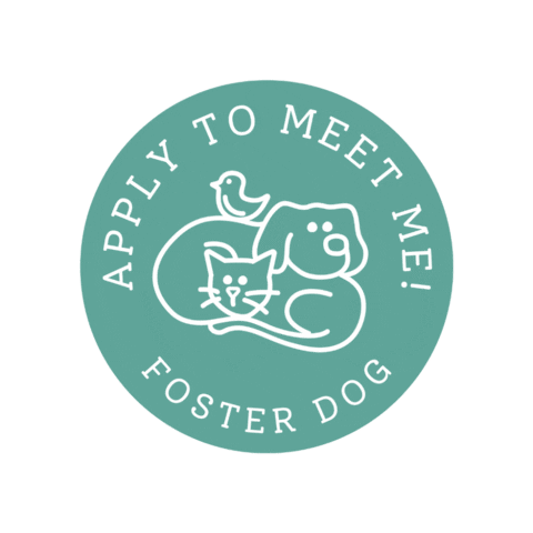 ywacpets giphygifmaker Sticker