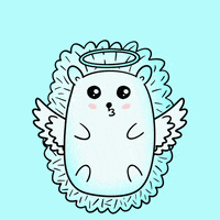 Angel Hedgehog GIF