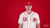 Baseball Mlb GIF by Cincinnati Reds