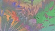 no woman no cry animation GIF by Blossöm Records