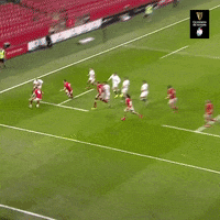 Sport Rugby GIF by Guinness Six Nations