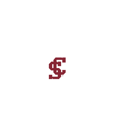 Go Broncos Sticker by Santa Clara Broncos